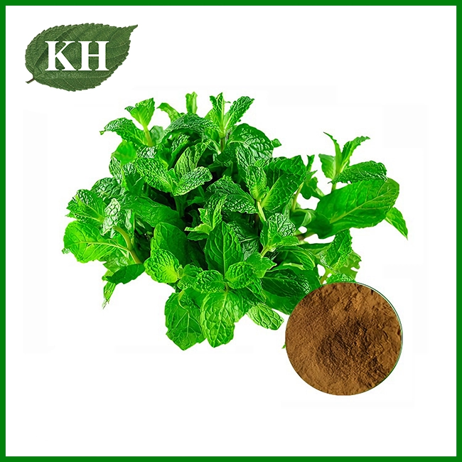 Peppermint Extract Powder